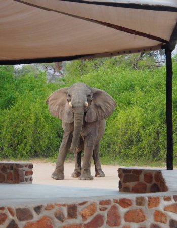 Brandberg White Lady Lodge