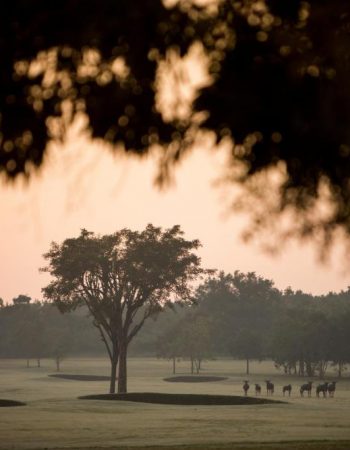 Nkonyeni Lodge & Golf Estate