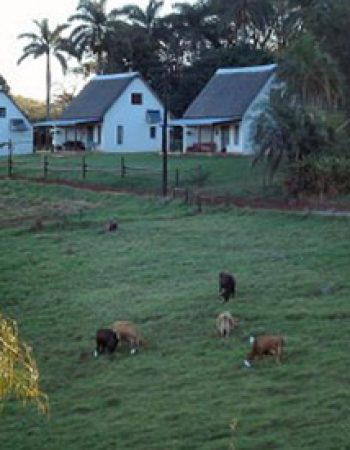 Mabuda Guest Farm