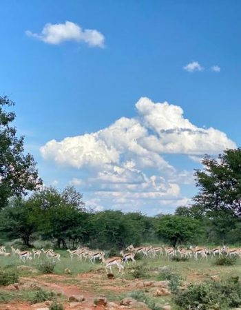Kifaru Luxury Lodge & Bush Camp