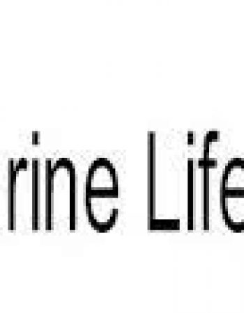 Marine Lifeboat Services cc