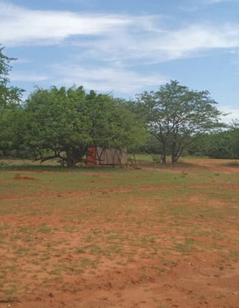 Uukwaluudhi Safari Lodge