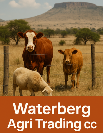 Waterberg Agri Trading cc T/A Kilo 40