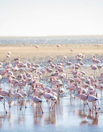 Flamingo Villas Boutique Hotel – Walvis Bay
