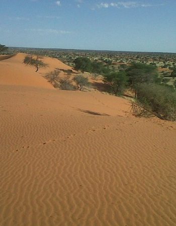 Tahiti Guesthouse & Restaurant Mariental