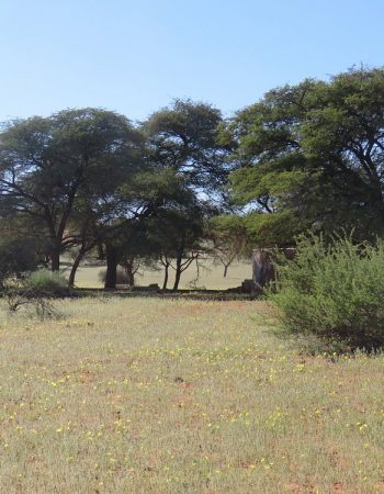 Tahiti Guesthouse & Restaurant Mariental