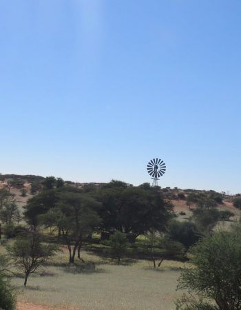 Tahiti Guesthouse & Restaurant Mariental
