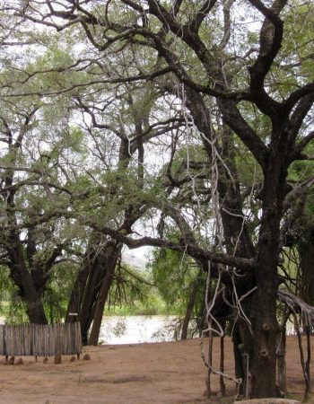 Omunjandi Rest Camp and Restaurant