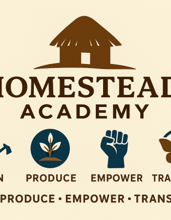 HOMESTEAD ACADEMY PRODUCTION HUB